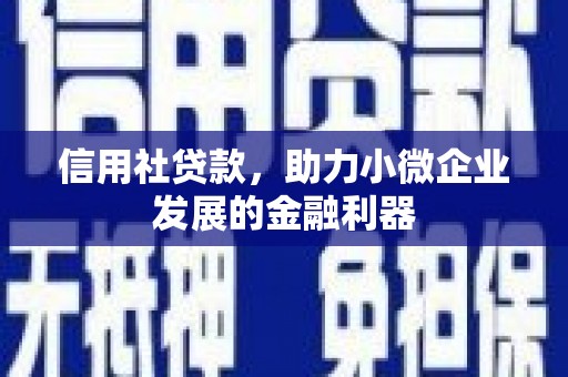 新埤信用社贷款，助力小微企业发展的金融利器