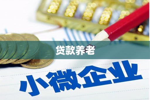 新埤贷款养老