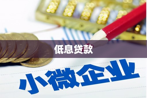 新埤低息贷款