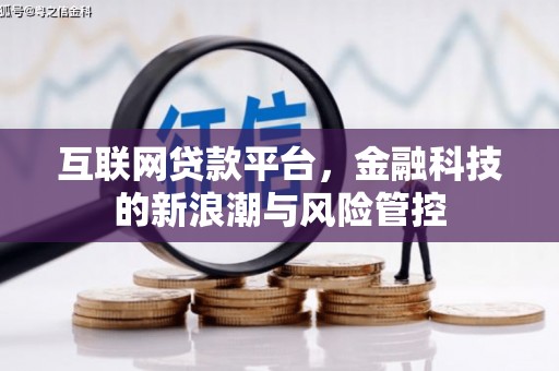 新埤互联网贷款平台，金融科技的新浪潮与风险管控