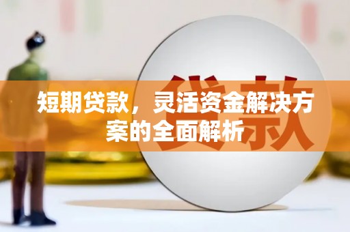 新埤短期贷款，灵活资金解决方案的全面解析