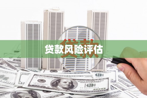 新埤贷款风险评估