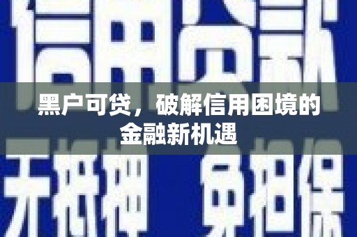 新埤黑户可贷，破解信用困境的金融新机遇