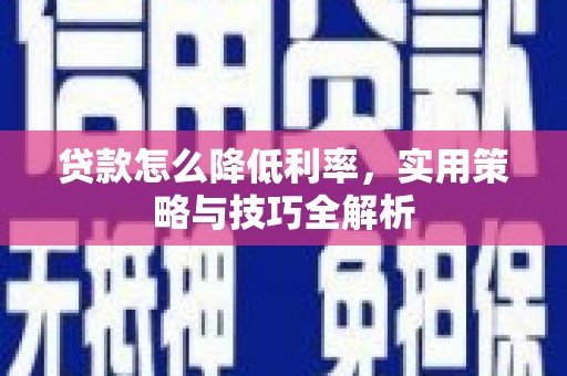 新埤贷款怎么降低利率，实用策略与技巧全解析