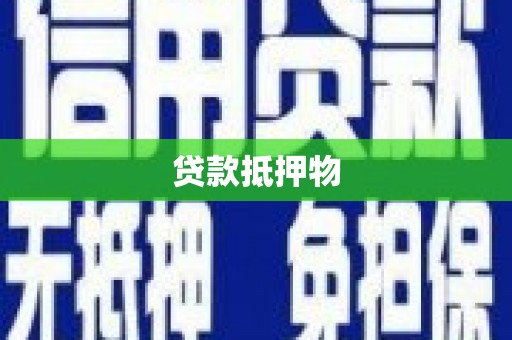 新埤贷款抵押物