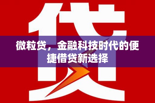 新埤微粒贷，金融科技时代的便捷借贷新选择