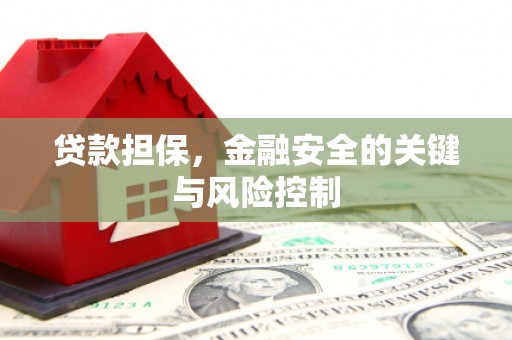 新埤贷款担保，金融安全的关键与风险控制