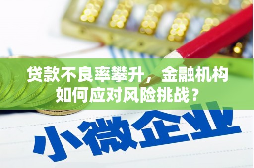 新埤贷款不良率攀升，金融机构如何应对风险挑战？