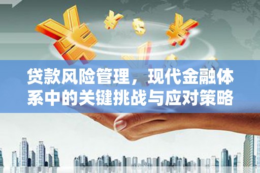 新埤贷款风险管理，现代金融体系中的关键挑战与应对策略