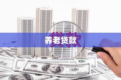 新埤养老贷款