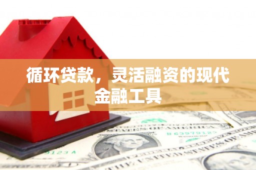 新埤循环贷款，灵活融资的现代金融工具