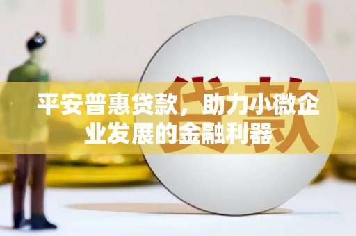 新埤平安普惠贷款，助力小微企业发展的金融利器
