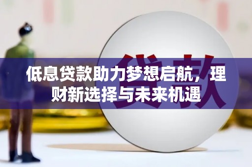 新埤低息贷款助力梦想启航，理财新选择与未来机遇