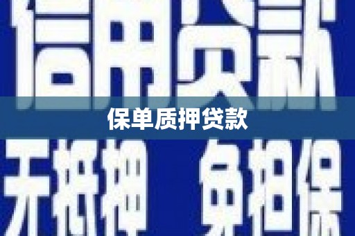 新埤保单质押贷款