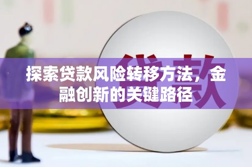 新埤探索贷款风险转移方法，金融创新的关键路径