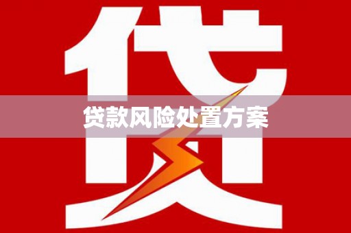 新埤贷款风险处置方案
