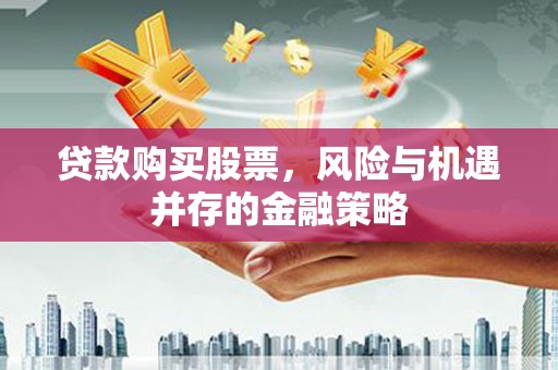 新埤贷款购买股票，风险与机遇并存的金融策略
