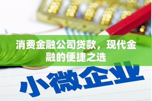 新埤消费金融公司贷款，现代金融的便捷之选