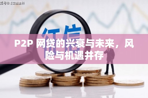 新埤P2P 网贷的兴衰与未来，风险与机遇并存