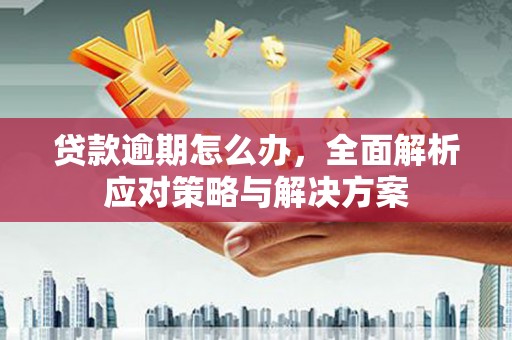 新埤贷款逾期怎么办，全面解析应对策略与解决方案