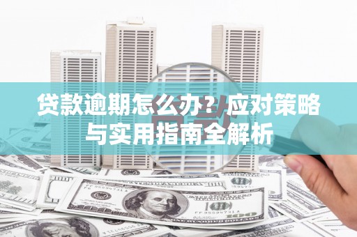 新埤贷款逾期怎么办？应对策略与实用指南全解析