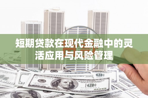 新埤短期贷款在现代金融中的灵活应用与风险管理