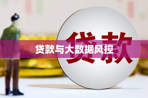 新埤贷款与大数据风控
