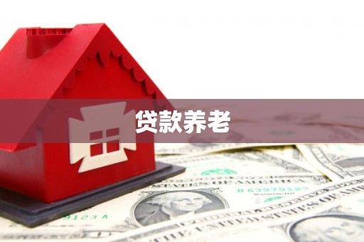 新埤贷款养老