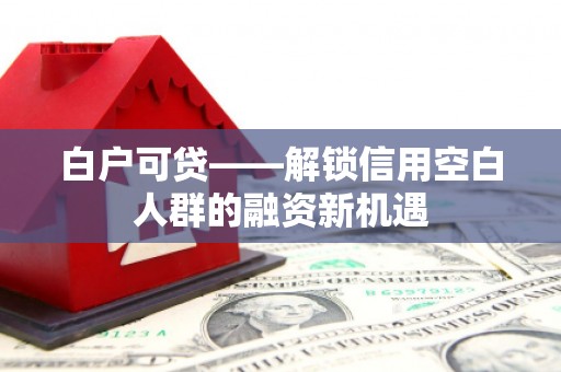 新埤白户可贷——解锁信用空白人群的融资新机遇
