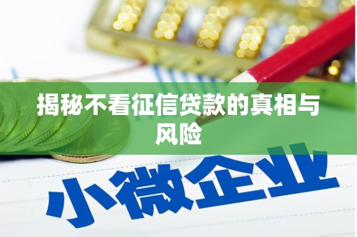 新埤揭秘不看征信贷款的真相与风险