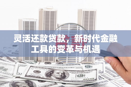 新埤灵活还款贷款，新时代金融工具的变革与机遇