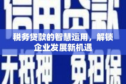 新埤税务贷款的智慧运用，解锁企业发展新机遇