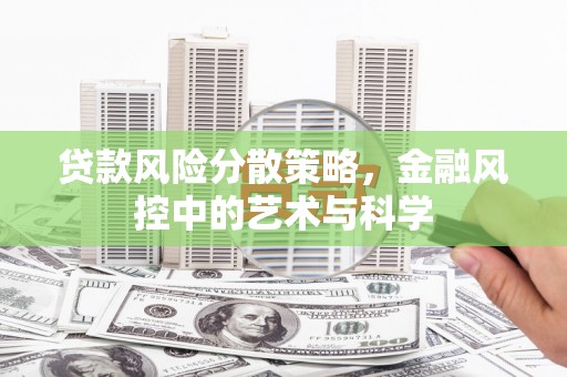 新埤贷款风险分散策略，金融风控中的艺术与科学