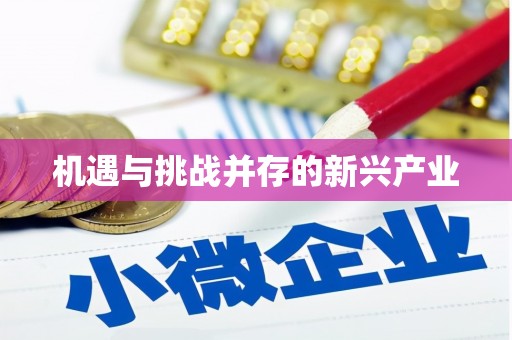 新埤机遇与挑战并存的新兴产业