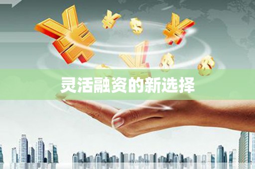 新埤灵活融资的新选择