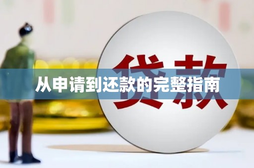 新埤从申请到还款的完整指南