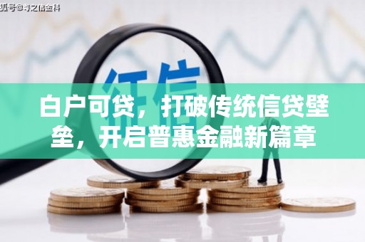 新埤白户可贷，打破传统信贷壁垒，开启普惠金融新篇章