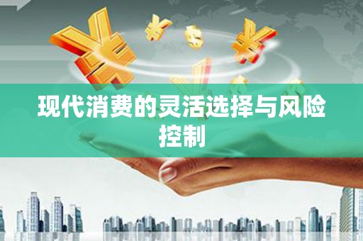 新埤现代消费的灵活选择与风险控制
