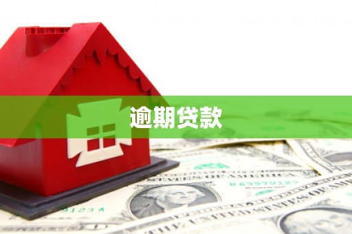 新埤逾期贷款