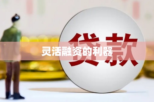 新埤灵活融资的利器