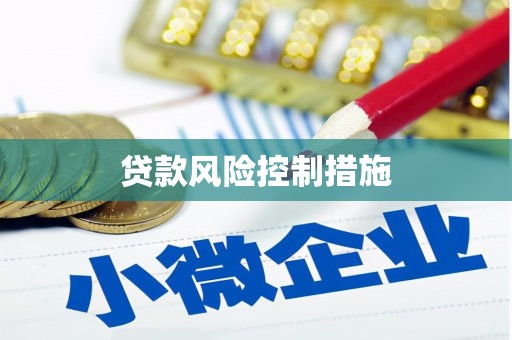 新埤贷款风险控制措施