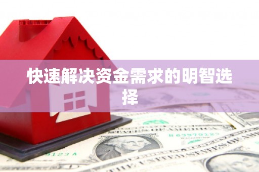 新埤快速解决资金需求的明智选择