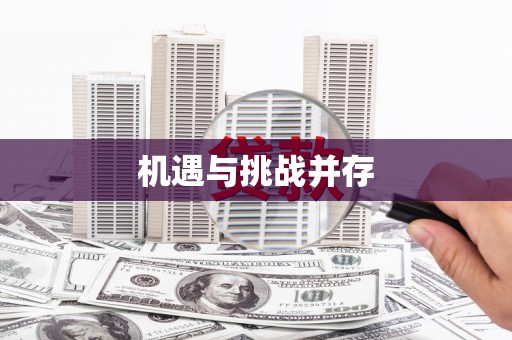 新埤机遇与挑战并存