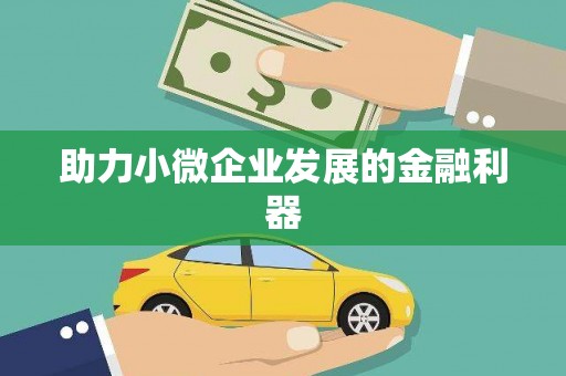 新埤助力小微企业发展的金融利器