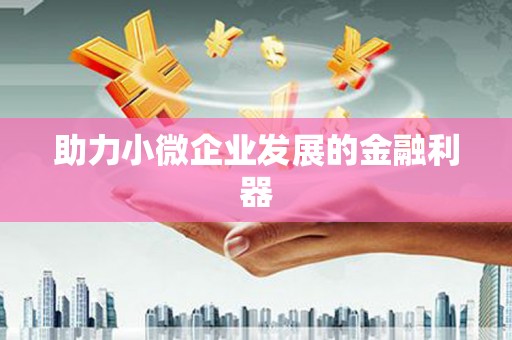 新埤助力小微企业发展的金融利器
