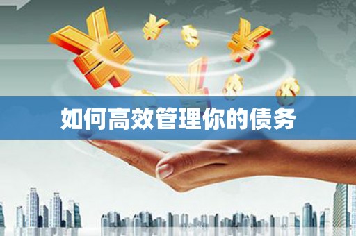 新埤如何高效管理你的债务