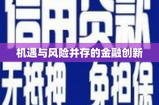新埤机遇与风险并存的金融创新