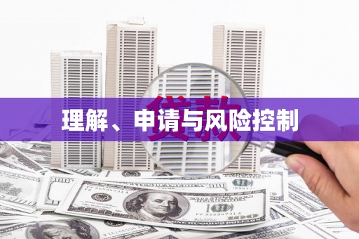 新埤理解、申请与风险控制