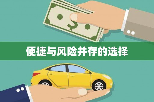 新埤便捷与风险并存的选择
