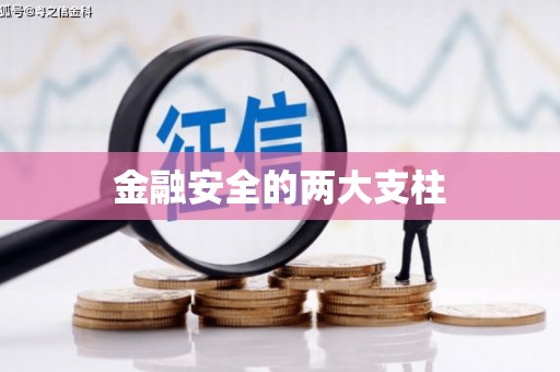 新埤金融安全的两大支柱